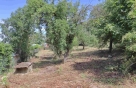 Stavebn� pozemek s rodinn�m domem v Le�anech