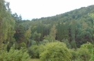 Rekrea�n� chata u T�nce nad S�zavou - SLEVA